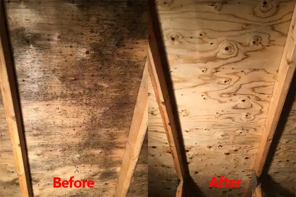 water damage restoration service Pleasant Valley